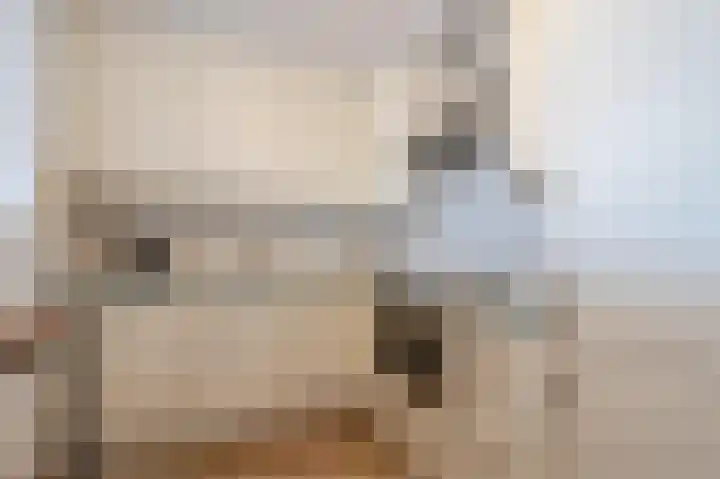 Djeddalaan 162 Rotterdam thumbnail 22