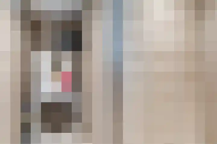 Djeddalaan 162 Rotterdam thumbnail 41