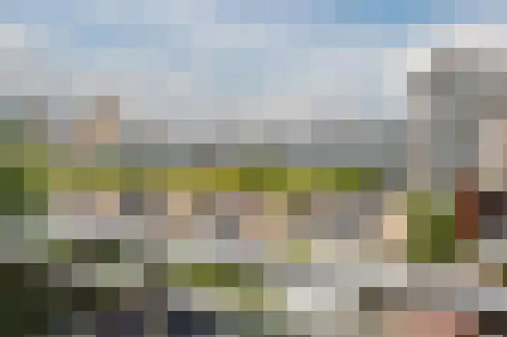 Djeddalaan 162 Rotterdam thumbnail 45