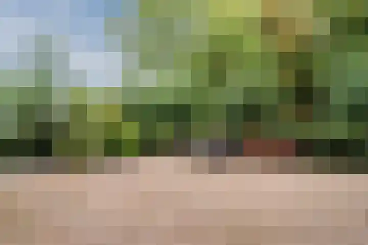Djeddalaan 162 Rotterdam thumbnail 47
