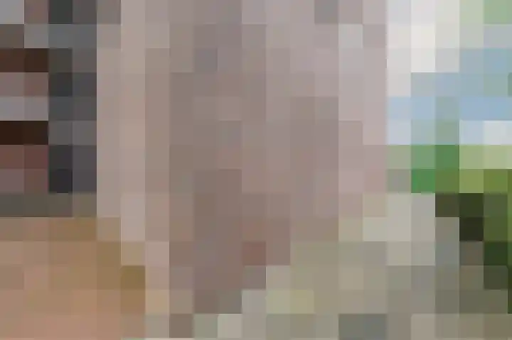 Djeddalaan 162 Rotterdam thumbnail 48