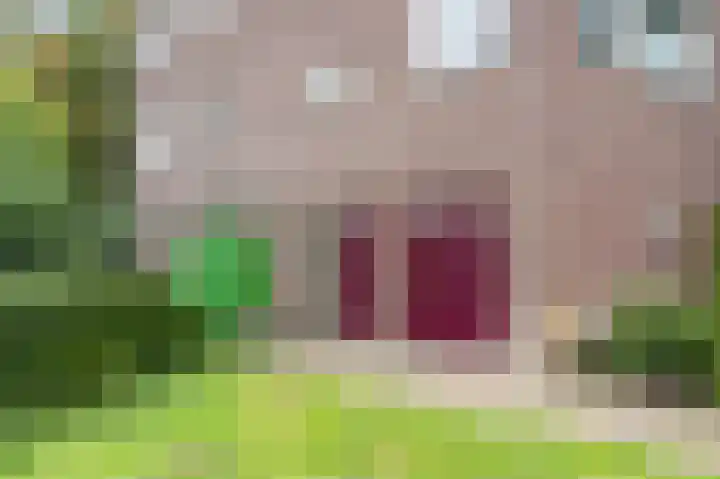 Djeddalaan 162 Rotterdam thumbnail 49