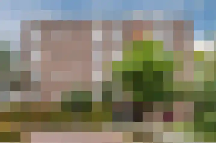 Djeddalaan 162 Rotterdam thumbnail 5