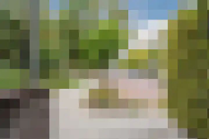 Djeddalaan 162 Rotterdam thumbnail 50