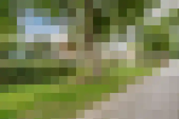 Djeddalaan 162 Rotterdam thumbnail 56