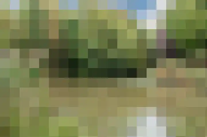 Djeddalaan 162 Rotterdam thumbnail 57