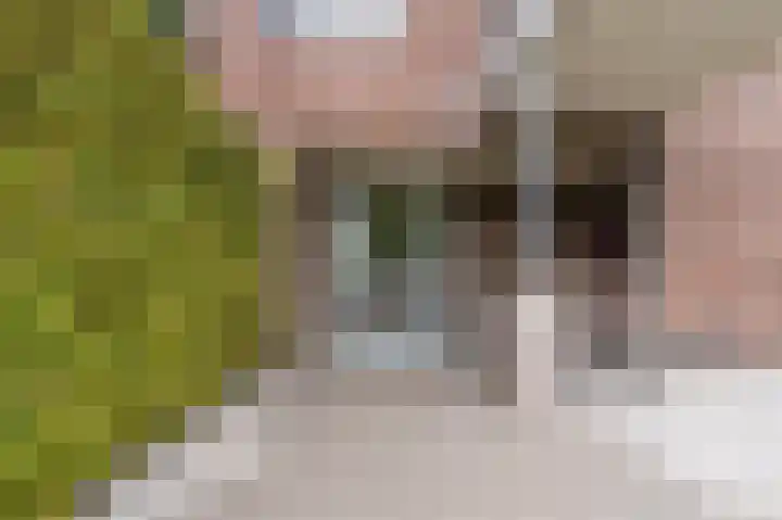 Djeddalaan 162 Rotterdam thumbnail 6