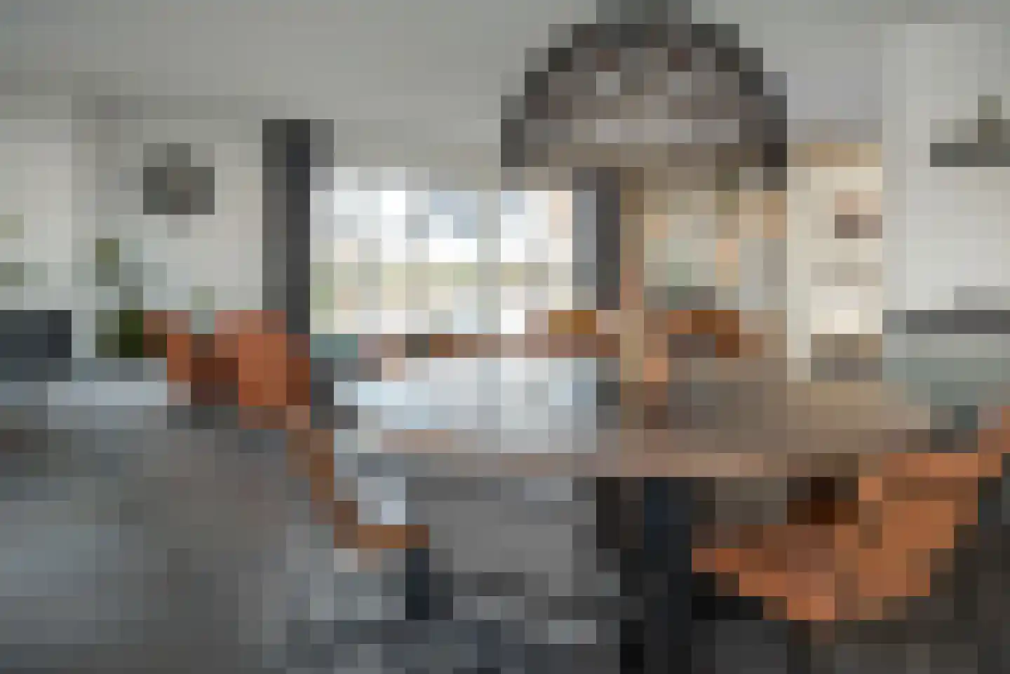 Djerreblom 10 Delfstrahuizen thumbnail 12