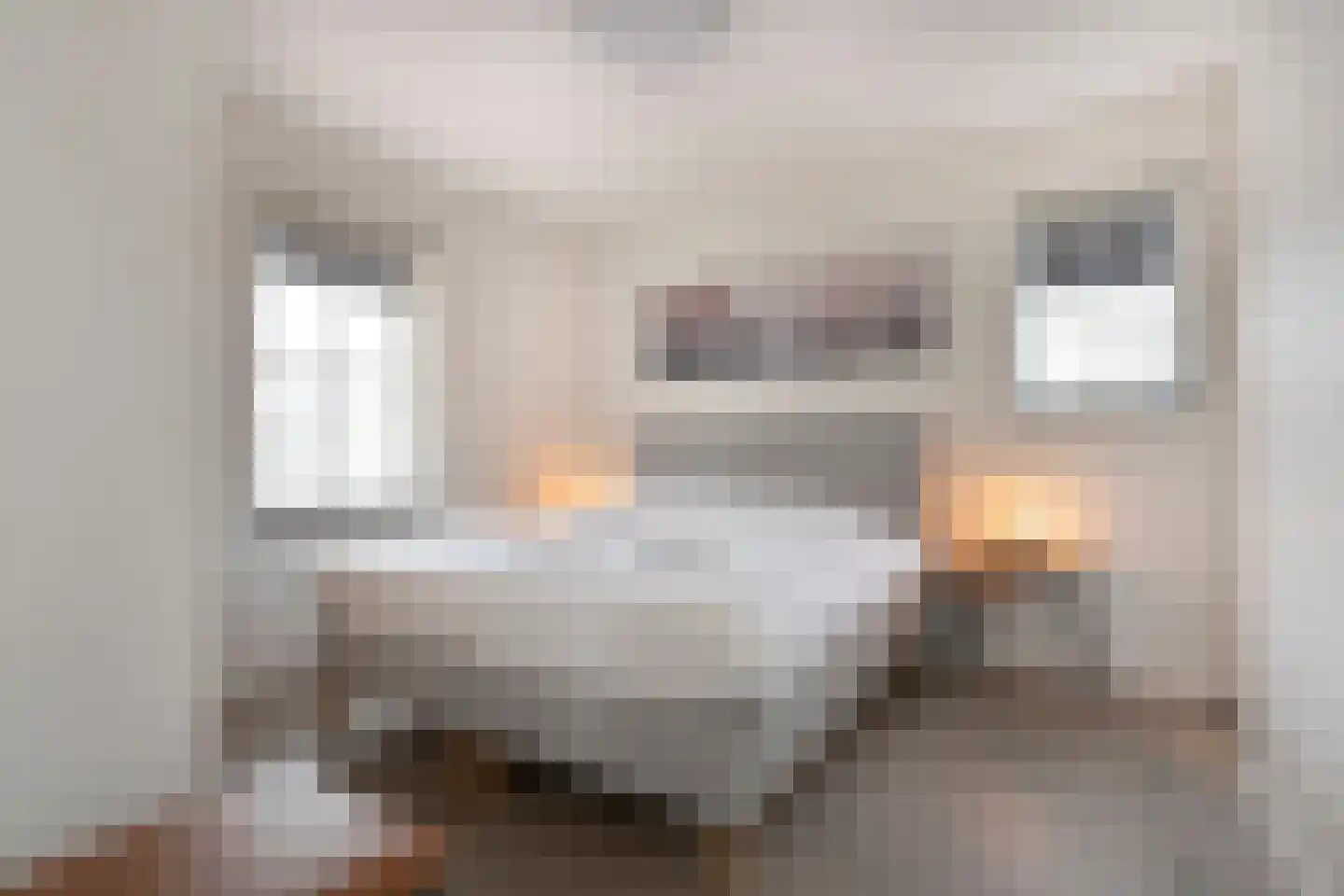 Djerreblom 10 Delfstrahuizen thumbnail 14