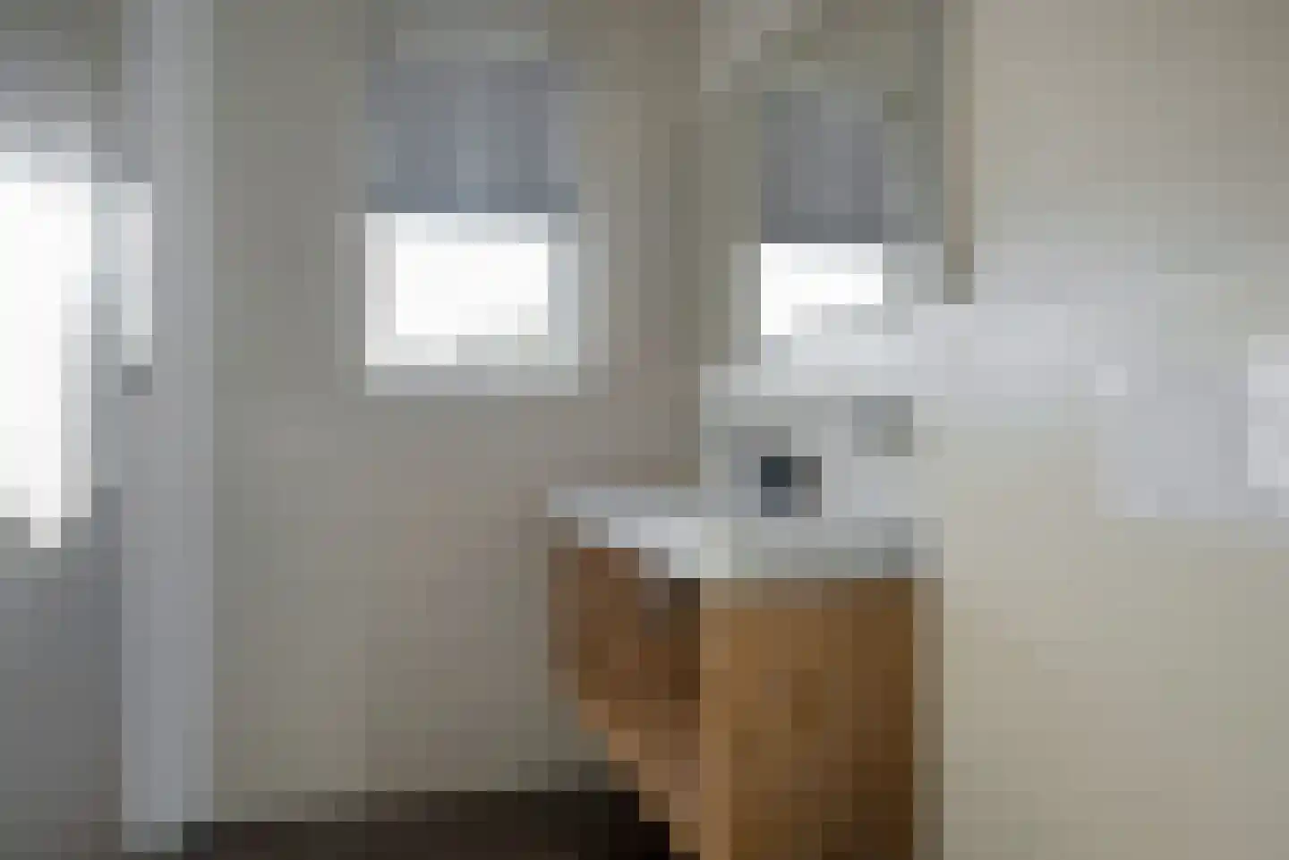 Djerreblom 10 Delfstrahuizen thumbnail 15