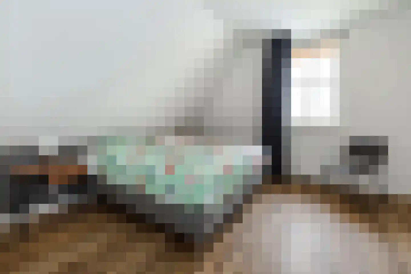 Djerreblom 10 Delfstrahuizen thumbnail 25