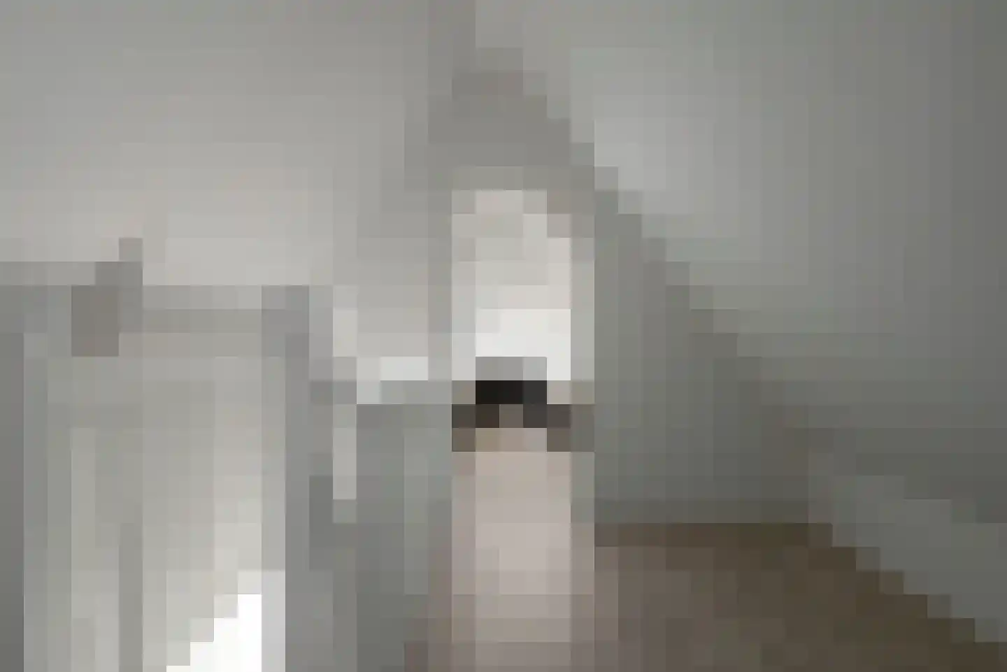Djerreblom 10 Delfstrahuizen thumbnail 33