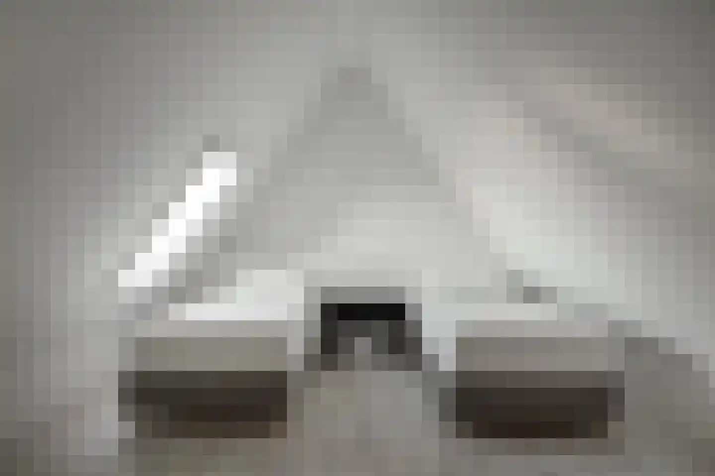 Djerreblom 10 Delfstrahuizen thumbnail 34