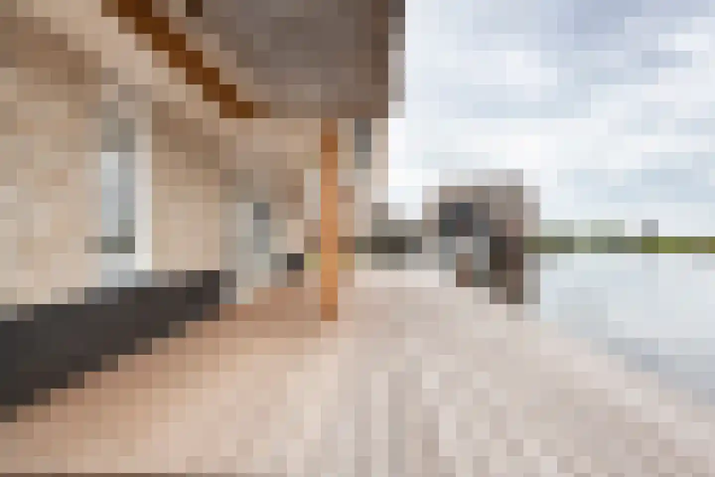 Djerreblom 10 Delfstrahuizen thumbnail 38