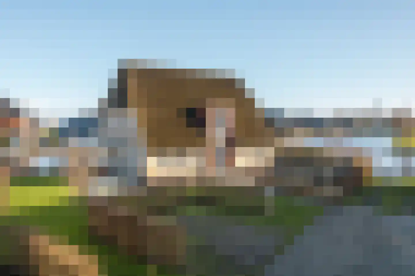 Djerreblom 10 Delfstrahuizen thumbnail 6