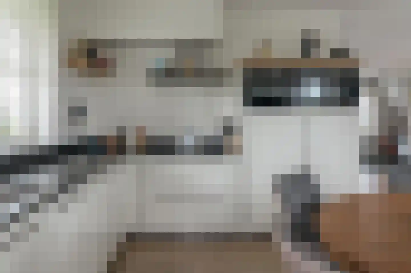 Djerreblom 14 Delfstrahuizen thumbnail 10