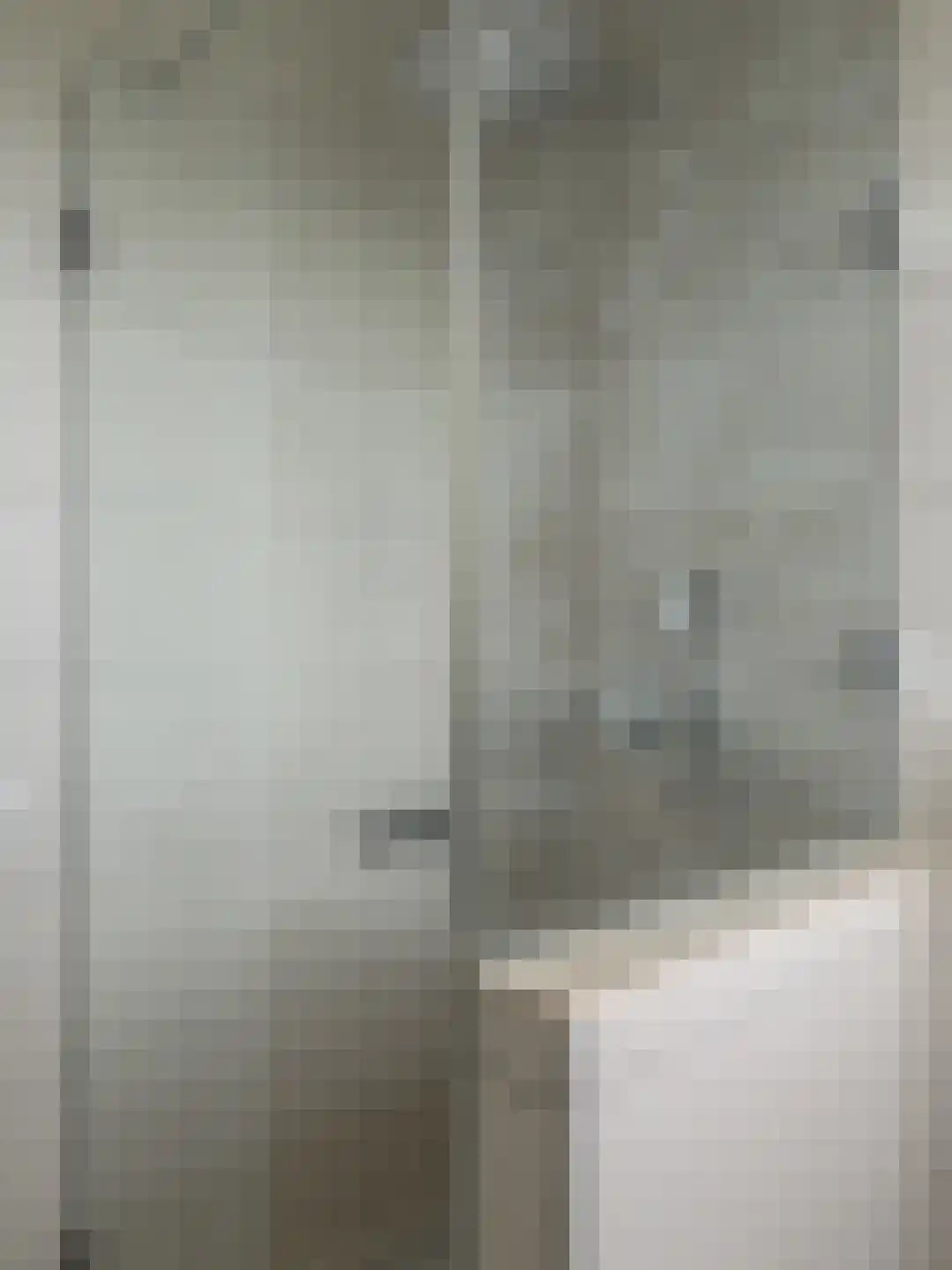 Djerreblom 14 Delfstrahuizen thumbnail 19