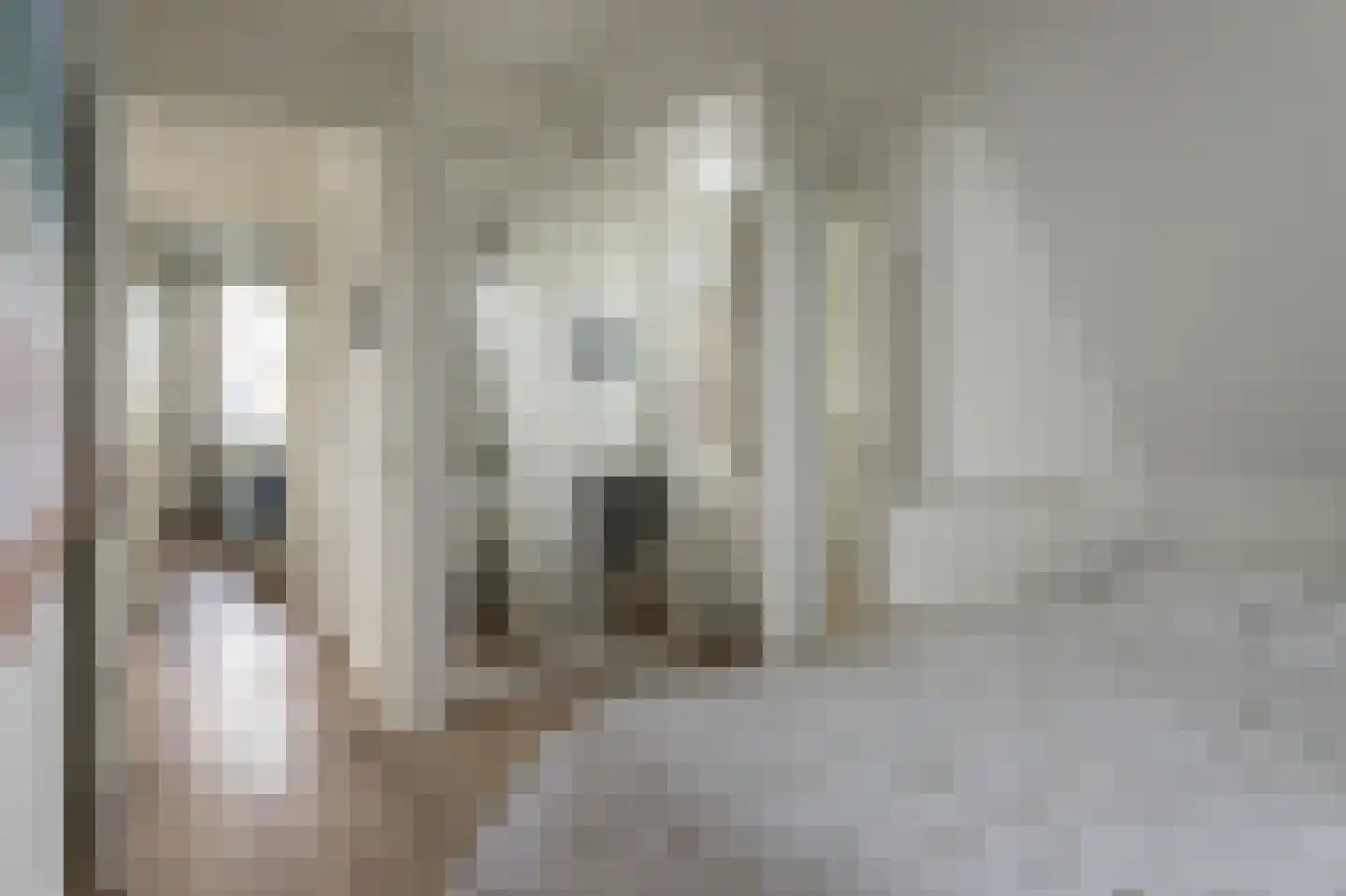 Djerreblom 14 Delfstrahuizen thumbnail 21