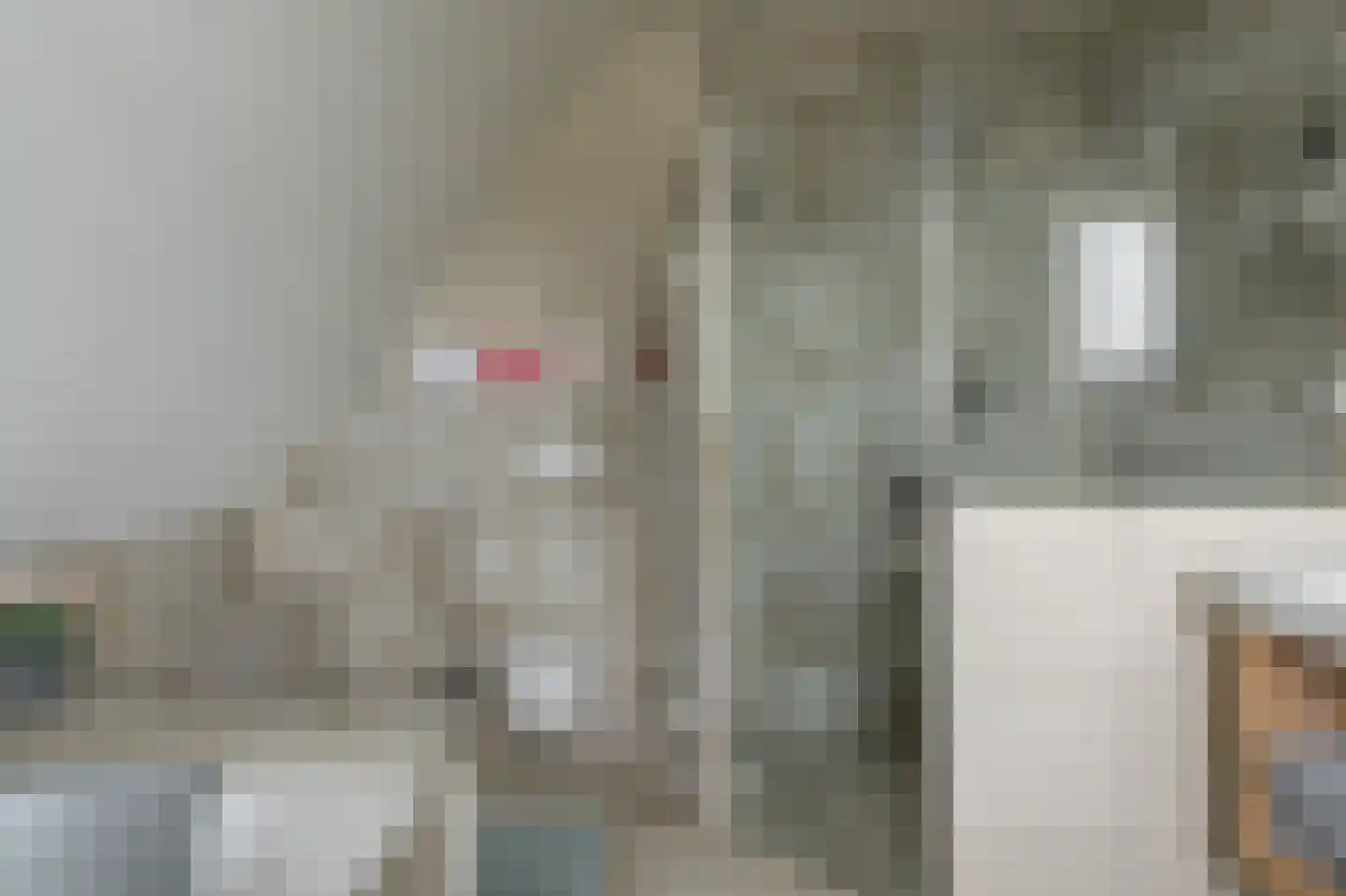 Djerreblom 14 Delfstrahuizen thumbnail 23