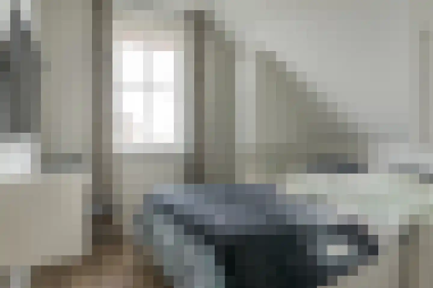 Djerreblom 14 Delfstrahuizen thumbnail 28