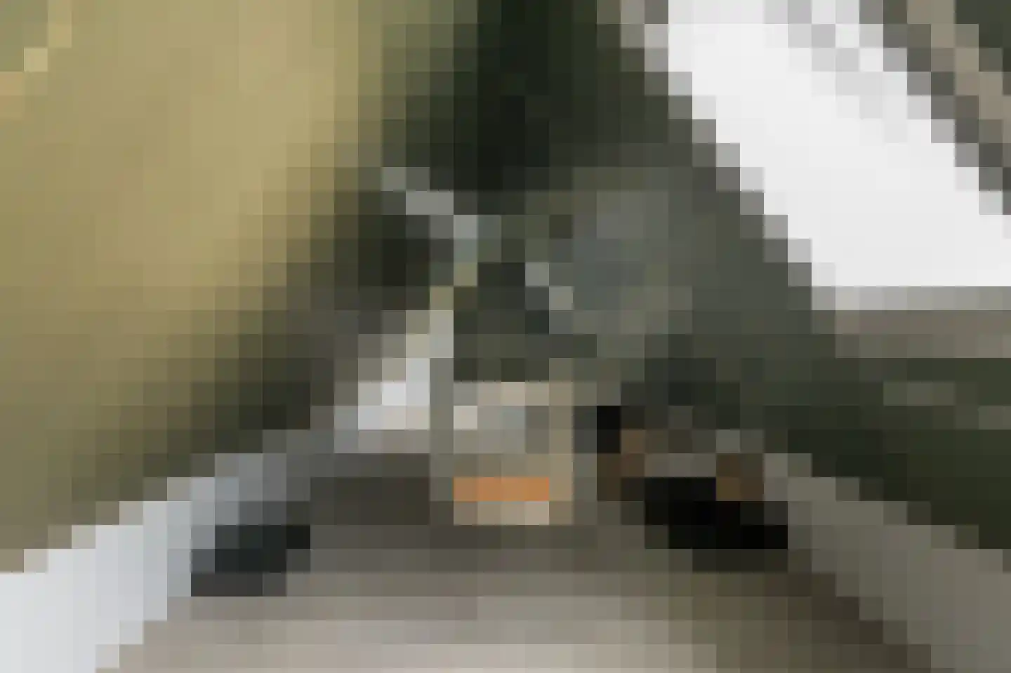 Djerreblom 14 Delfstrahuizen thumbnail 29