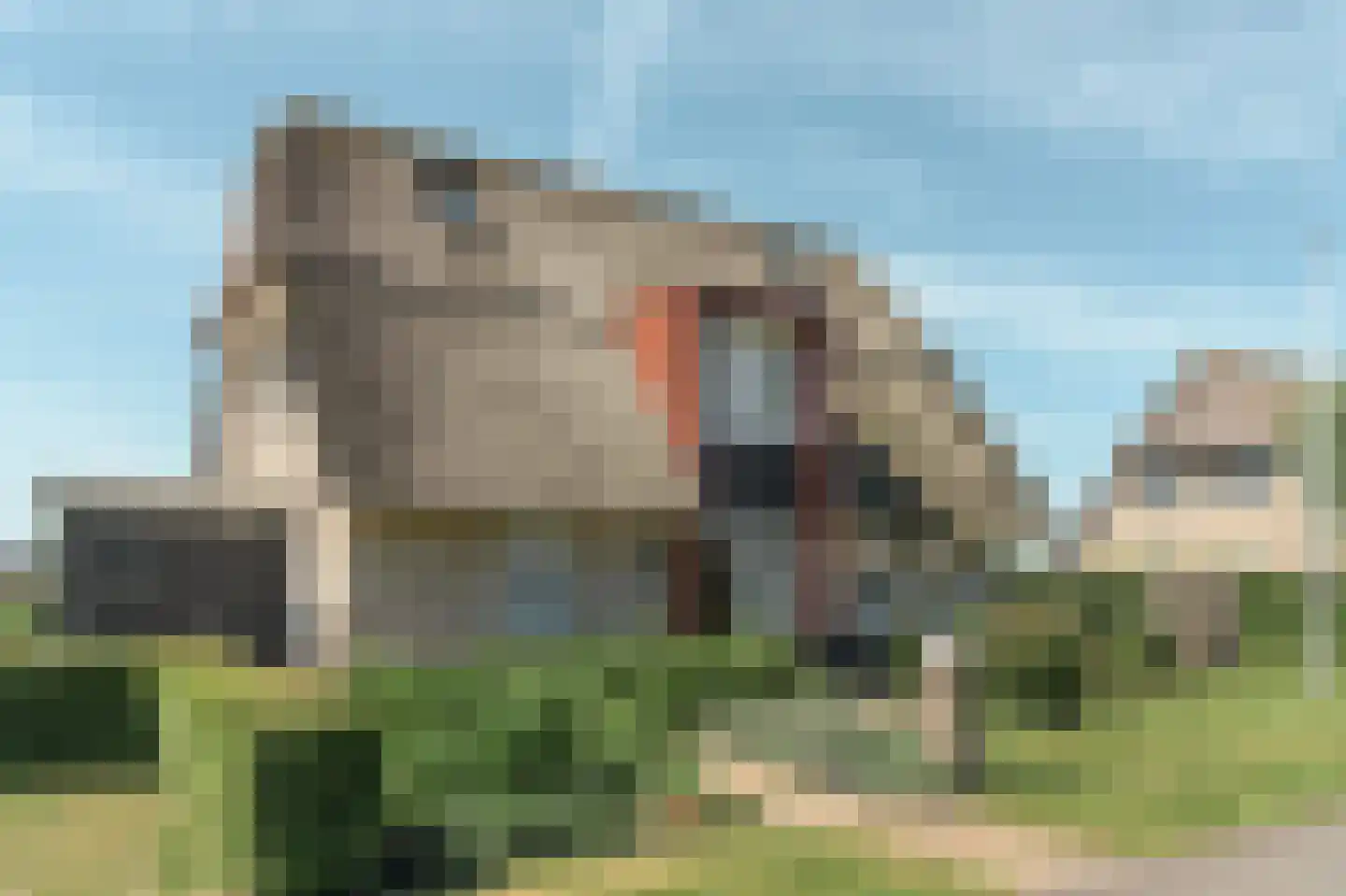 Djerreblom 14 Delfstrahuizen thumbnail 30