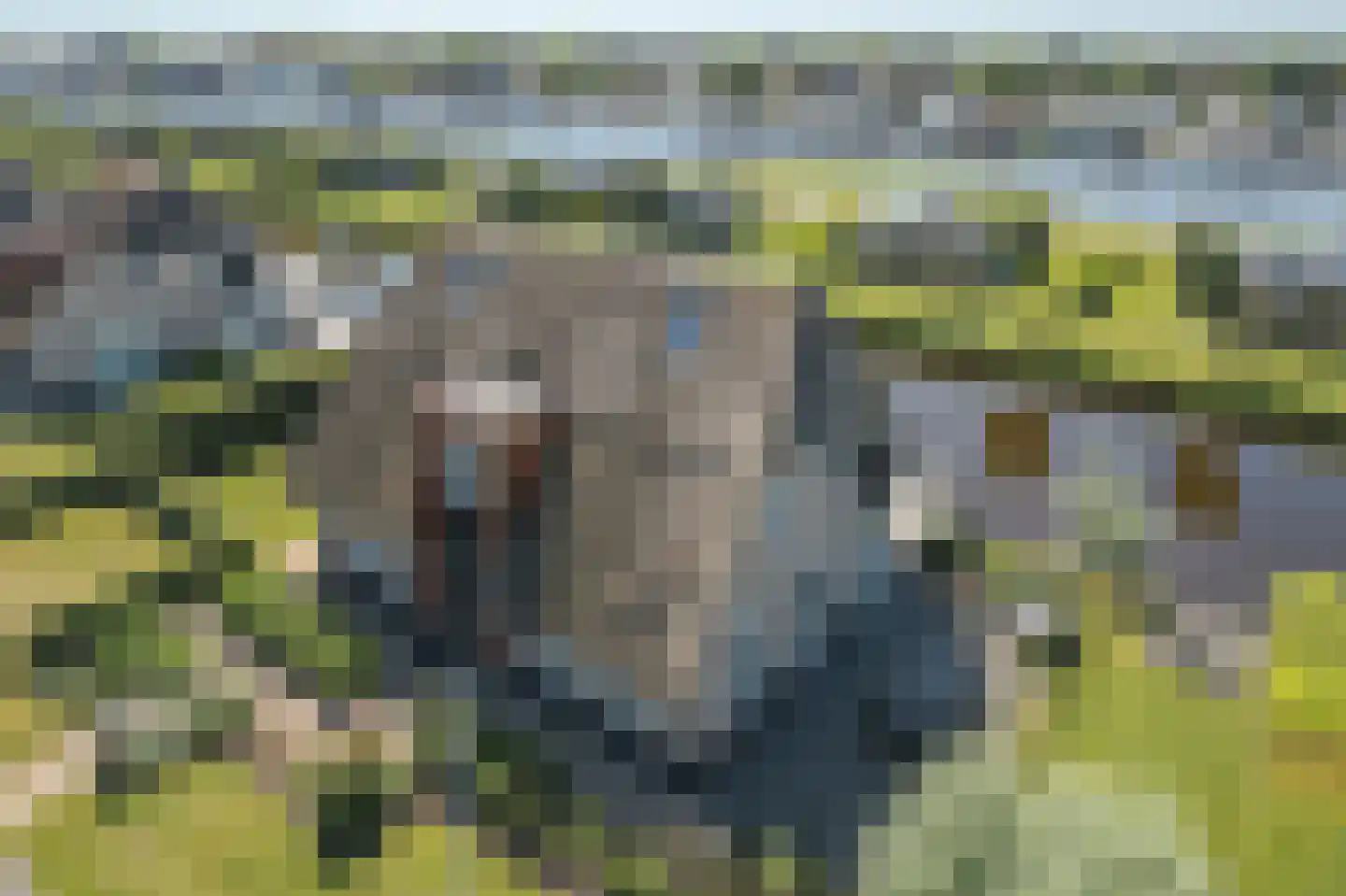 Djerreblom 14 Delfstrahuizen thumbnail 31