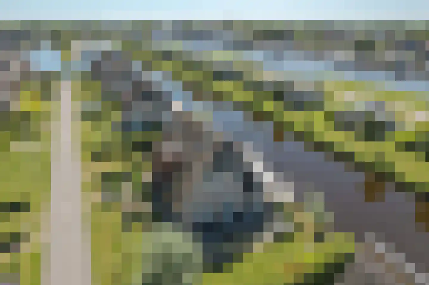 Djerreblom 14 Delfstrahuizen thumbnail 32