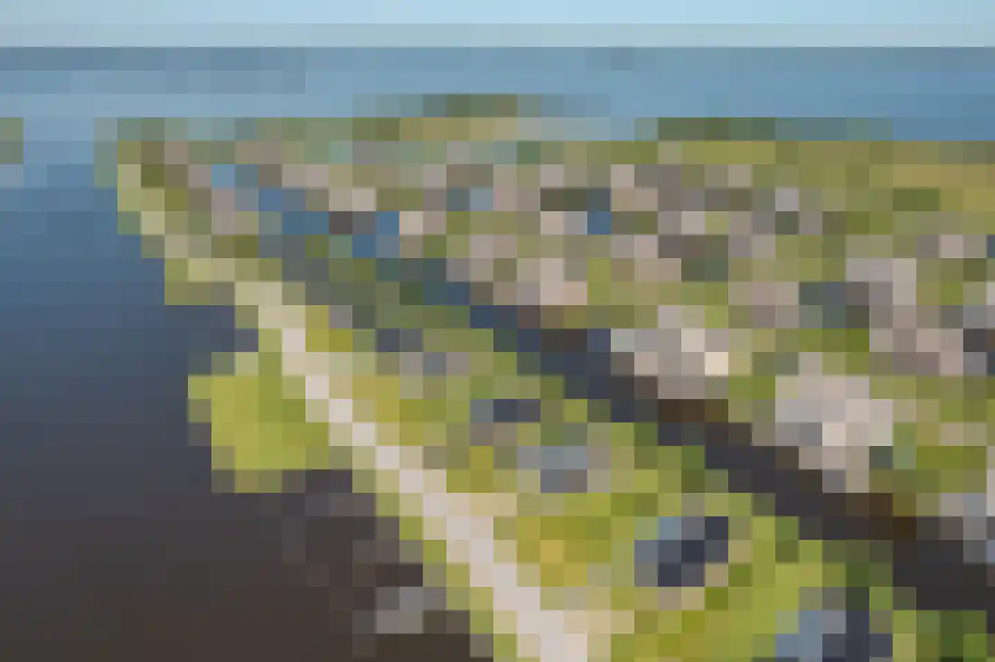 Djerreblom 14 Delfstrahuizen thumbnail 33