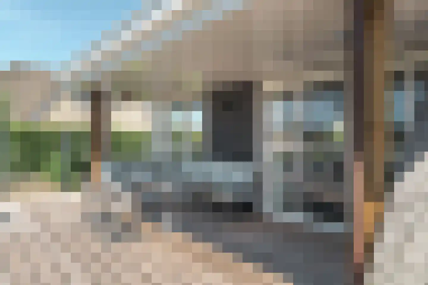 Djerreblom 14 Delfstrahuizen thumbnail 36