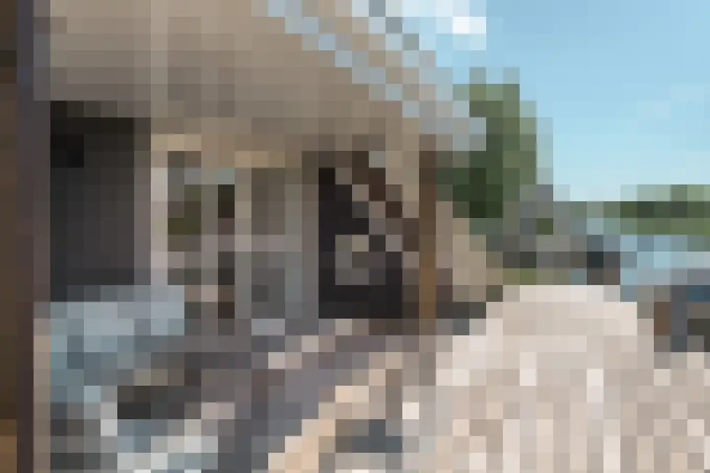 Djerreblom 14 Delfstrahuizen thumbnail 37