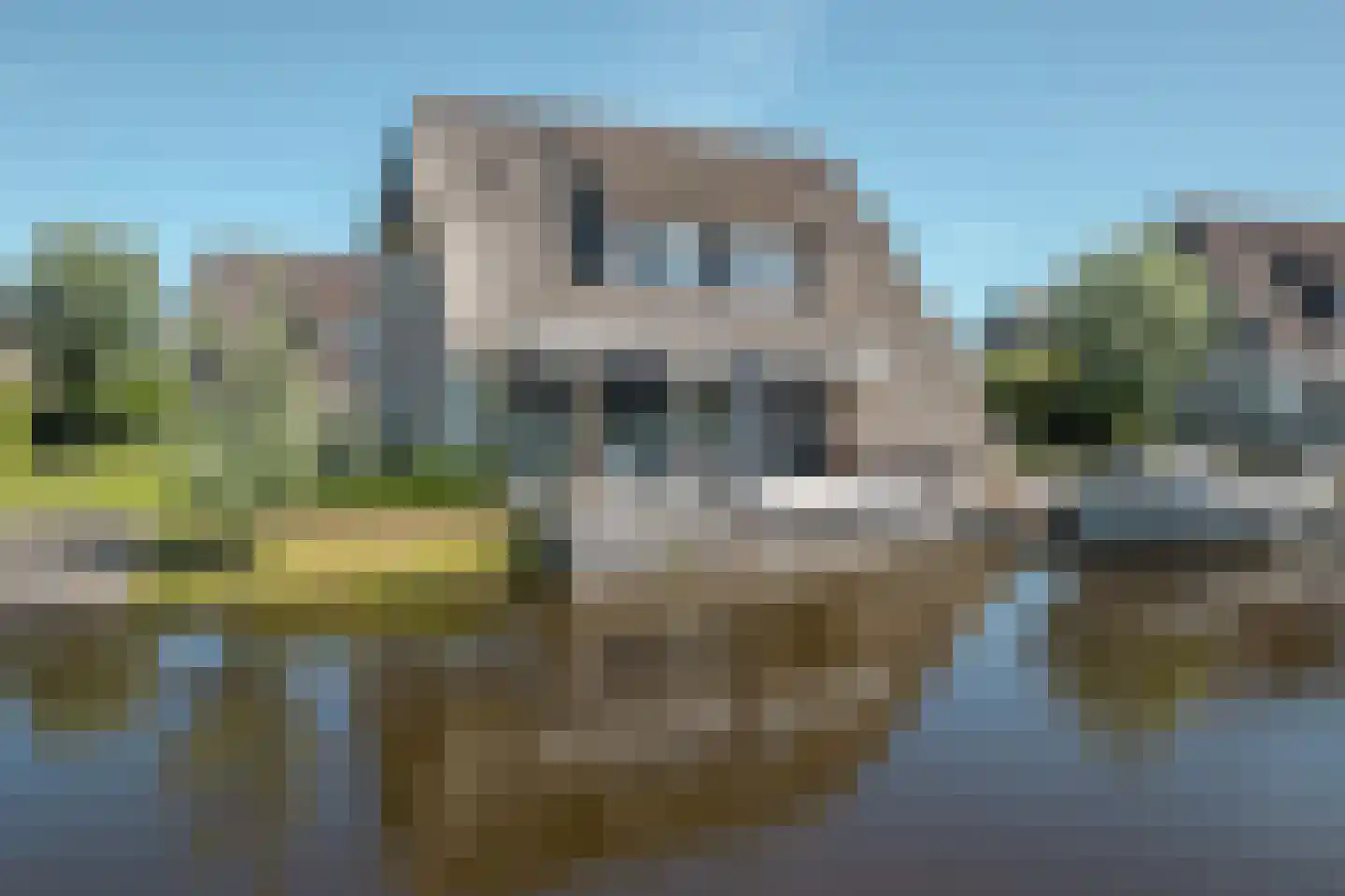Djerreblom 14 Delfstrahuizen thumbnail 38