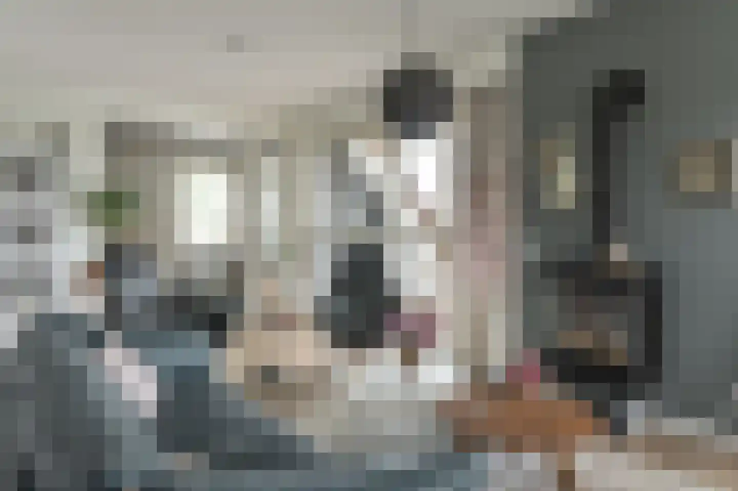 Djerreblom 14 Delfstrahuizen thumbnail 4