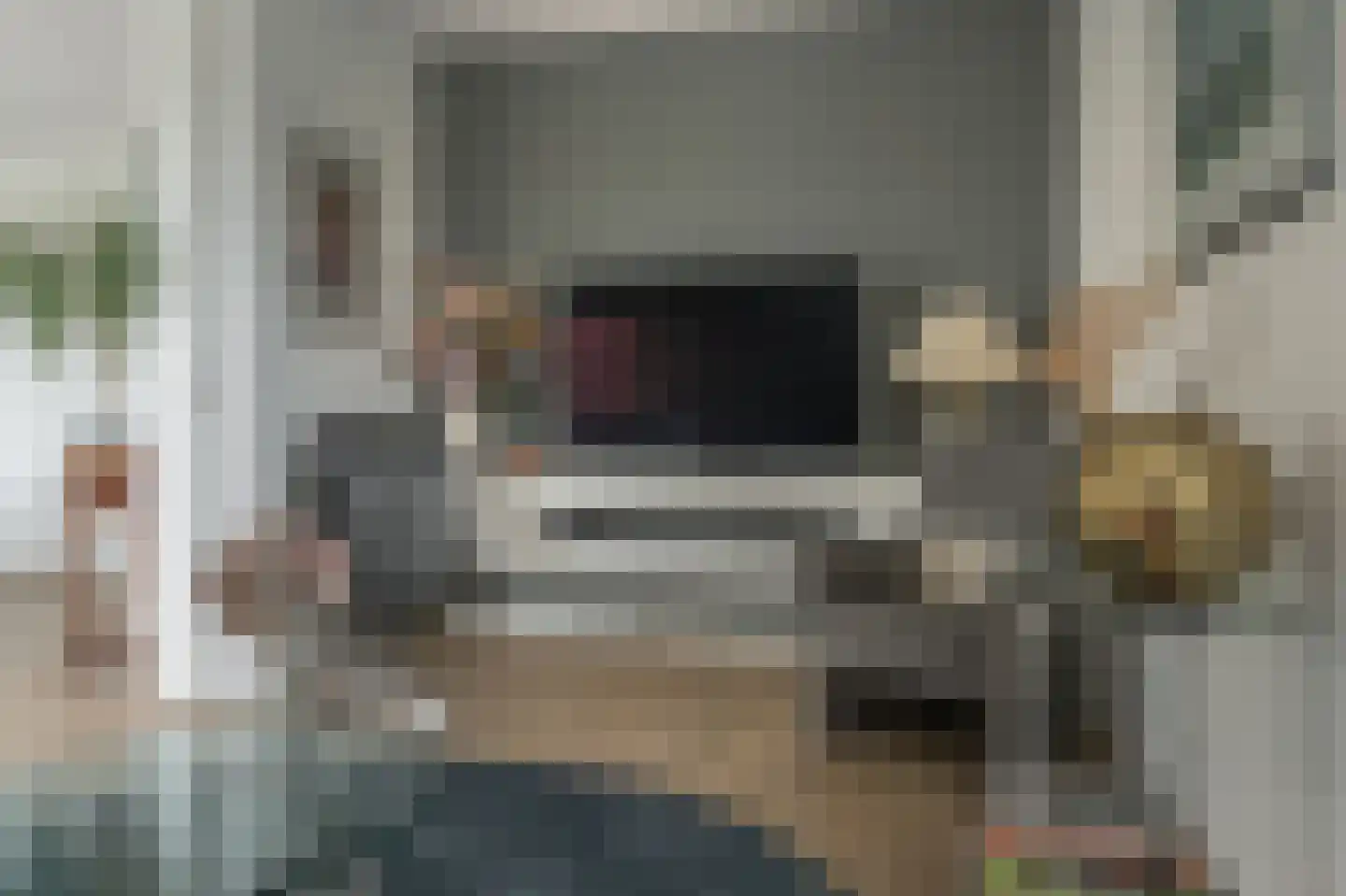 Djerreblom 14 Delfstrahuizen thumbnail 6