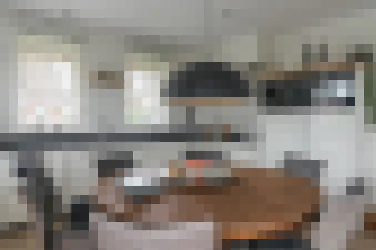 Djerreblom 14 Delfstrahuizen thumbnail 9