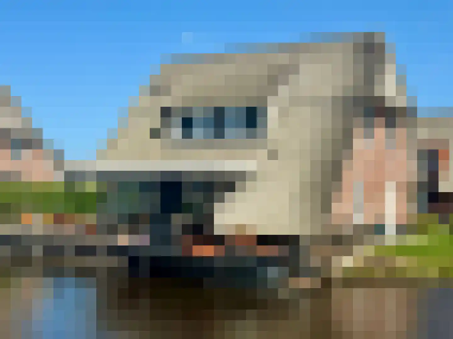 Djerreblom 16 en Delfstrahuizen