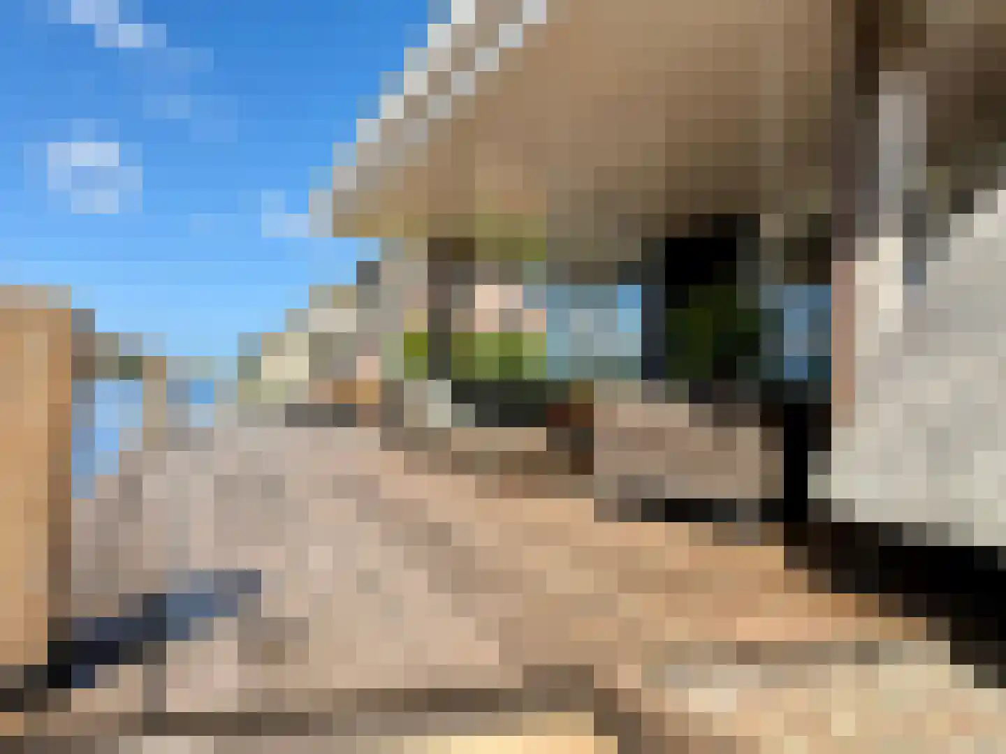 Djerreblom 16 Delfstrahuizen thumbnail 10