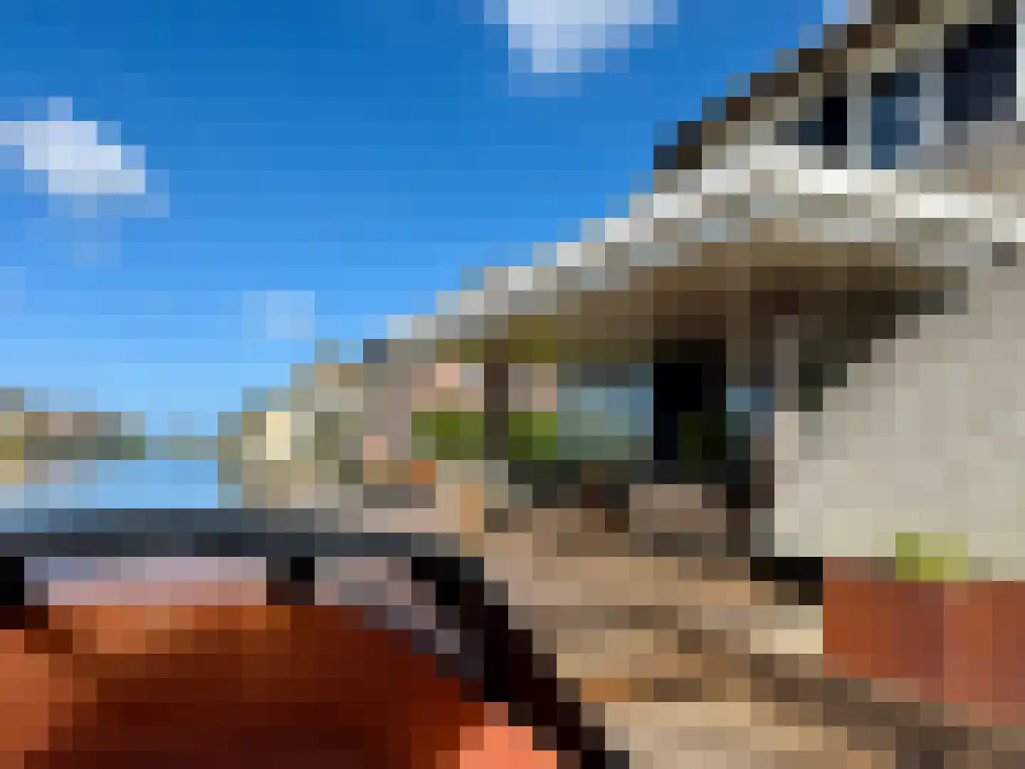 Djerreblom 16 Delfstrahuizen thumbnail 11