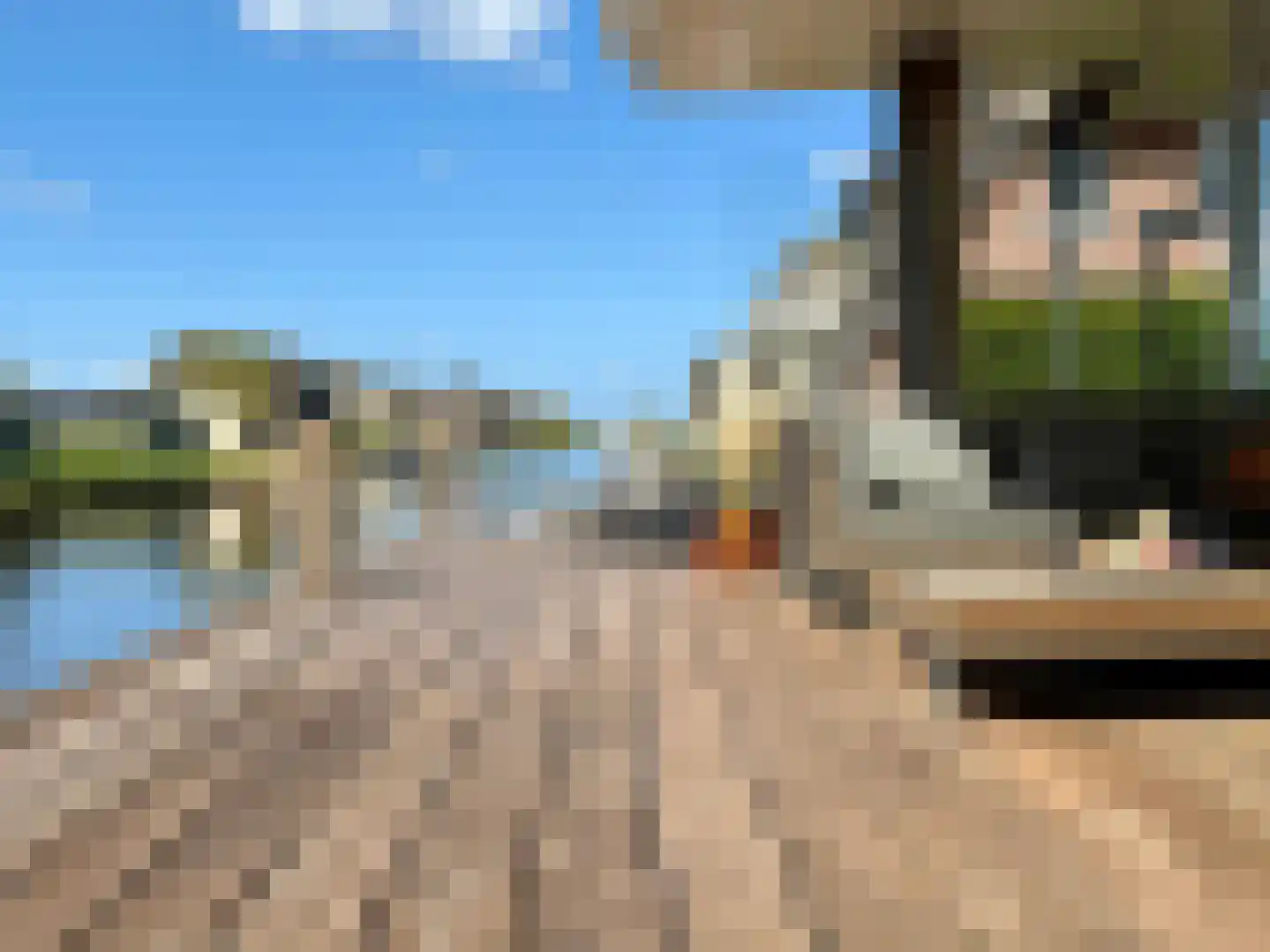 Djerreblom 16 Delfstrahuizen thumbnail 13