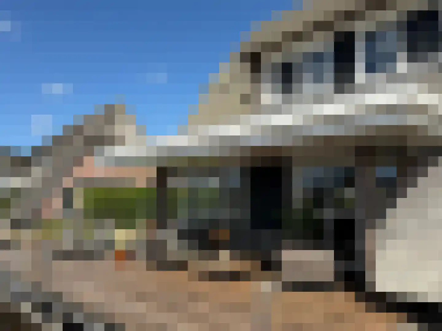 Djerreblom 16 Delfstrahuizen thumbnail 14