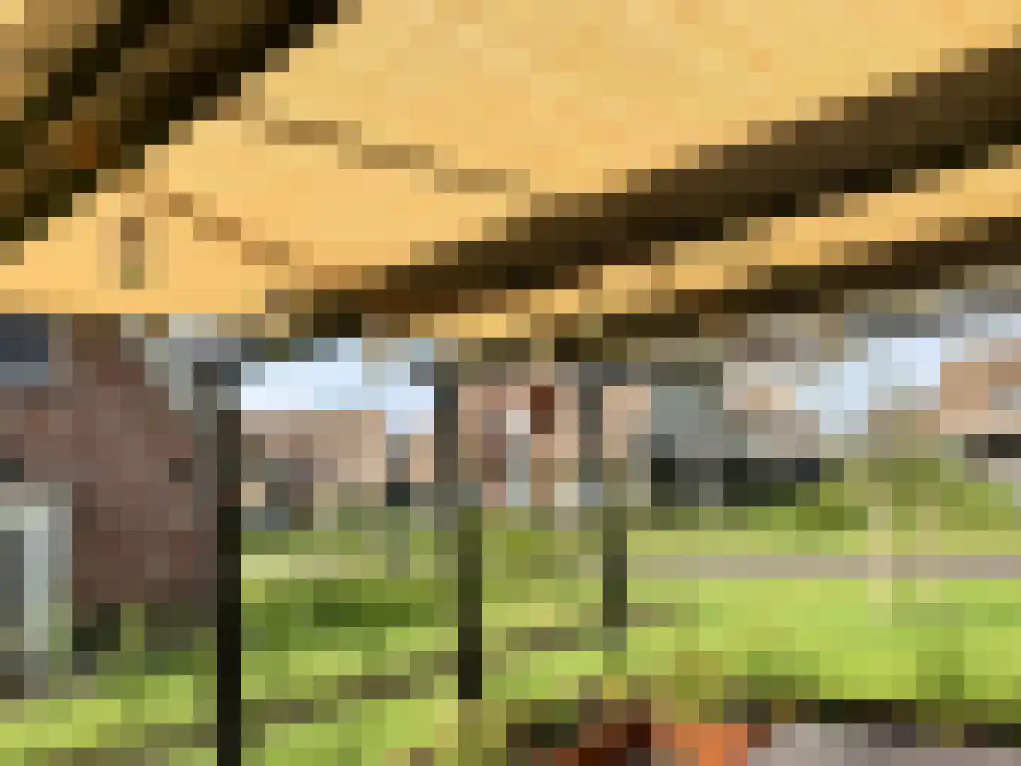 Djerreblom 16 Delfstrahuizen thumbnail 16