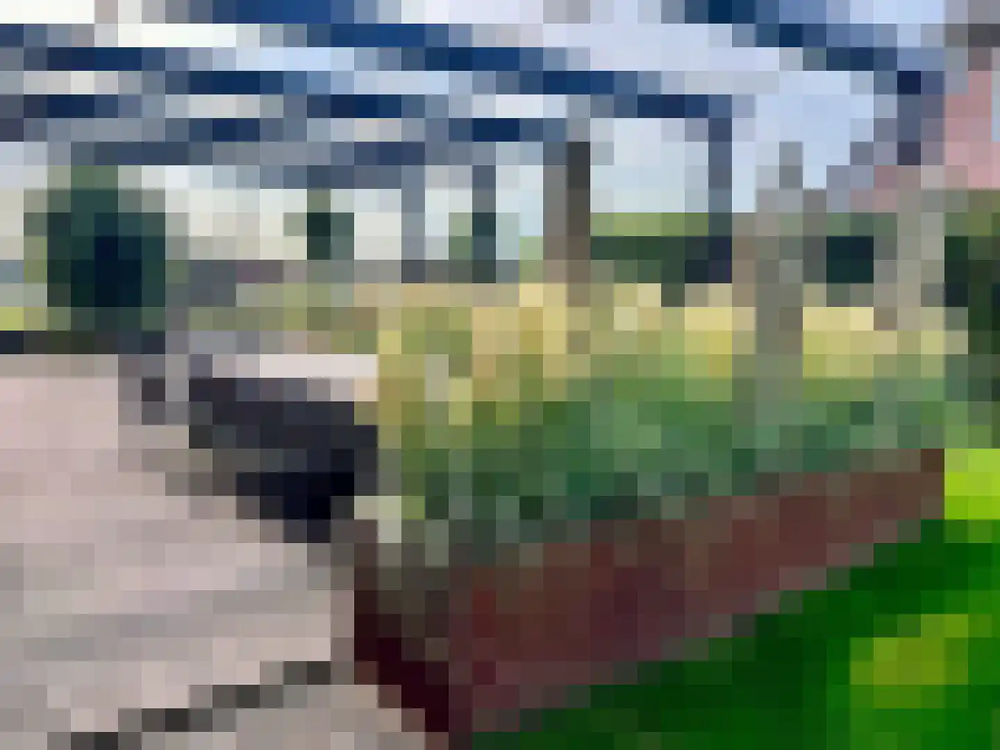 Djerreblom 16 Delfstrahuizen thumbnail 17