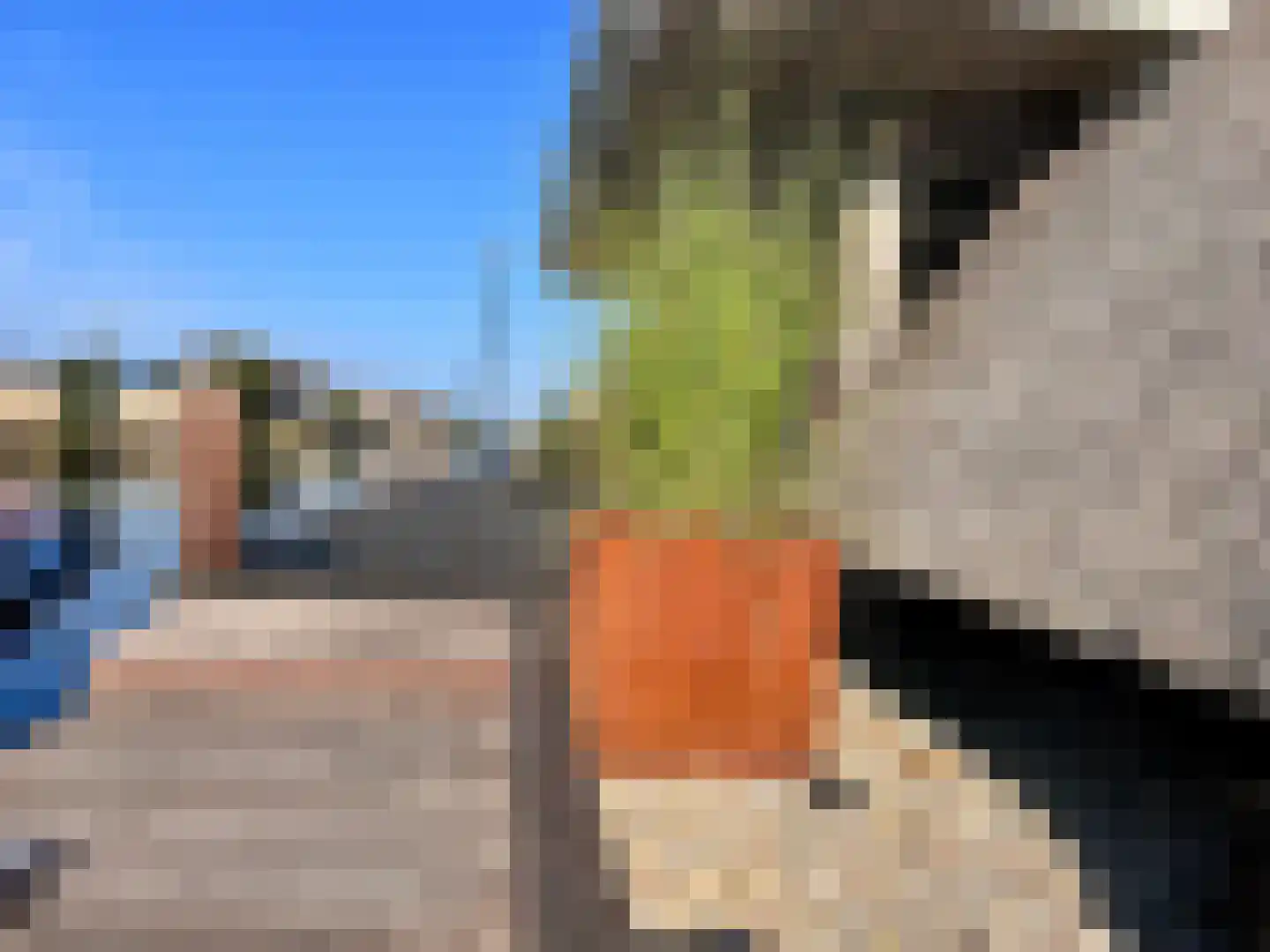 Djerreblom 16 Delfstrahuizen thumbnail 18