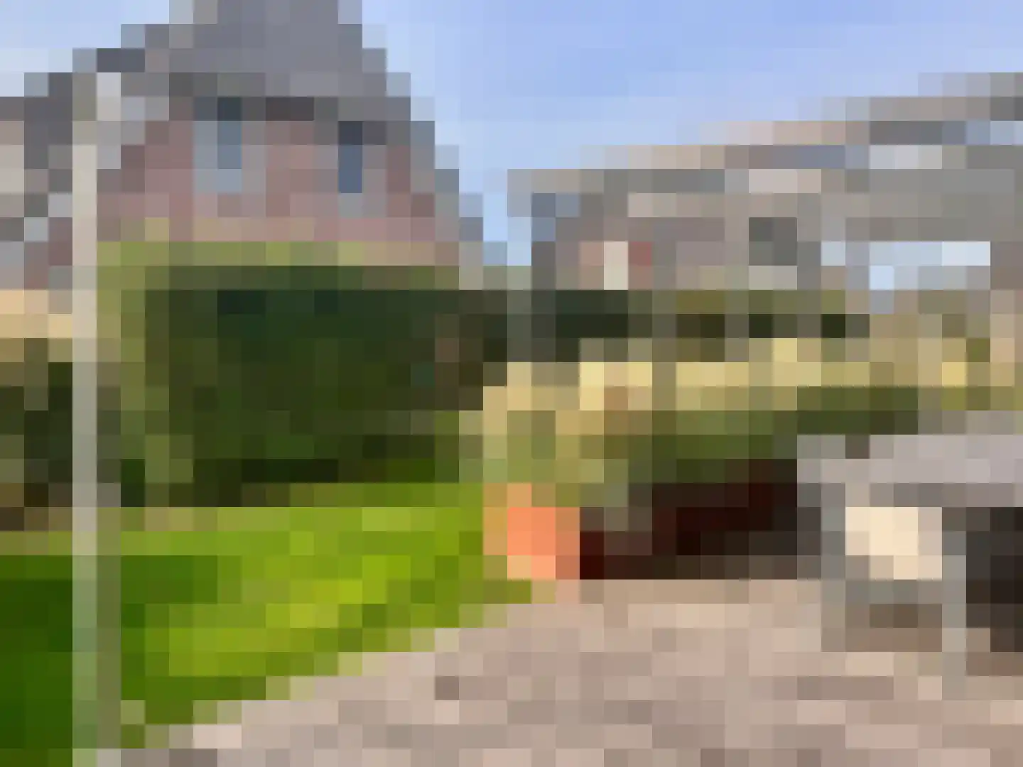 Djerreblom 16 Delfstrahuizen thumbnail 19