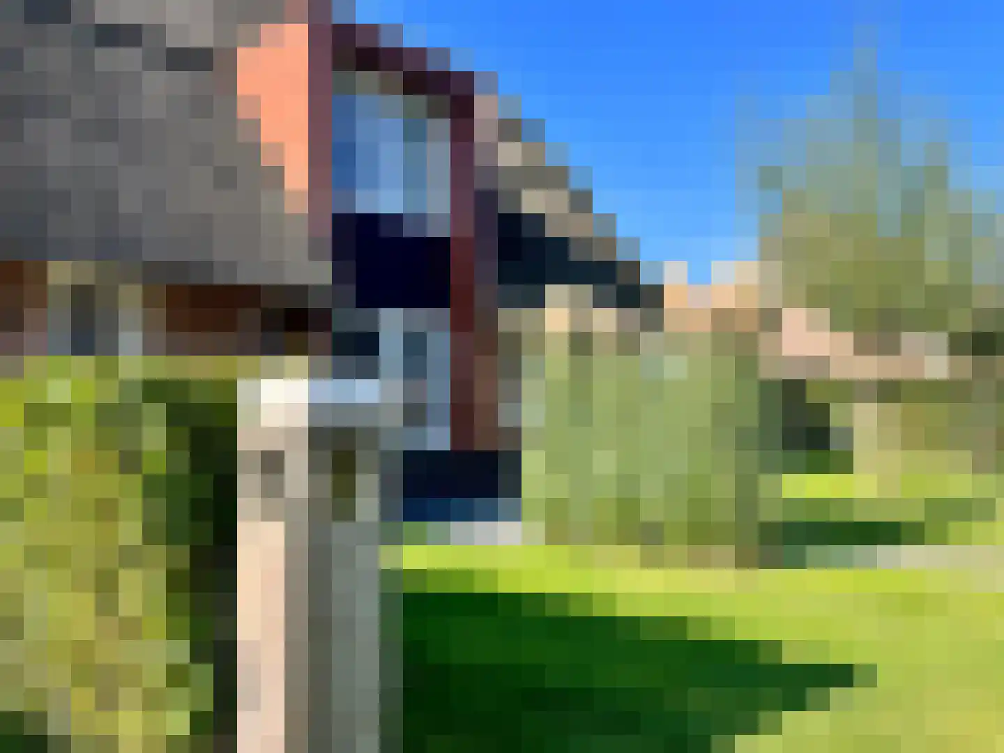 Djerreblom 16 Delfstrahuizen thumbnail 21