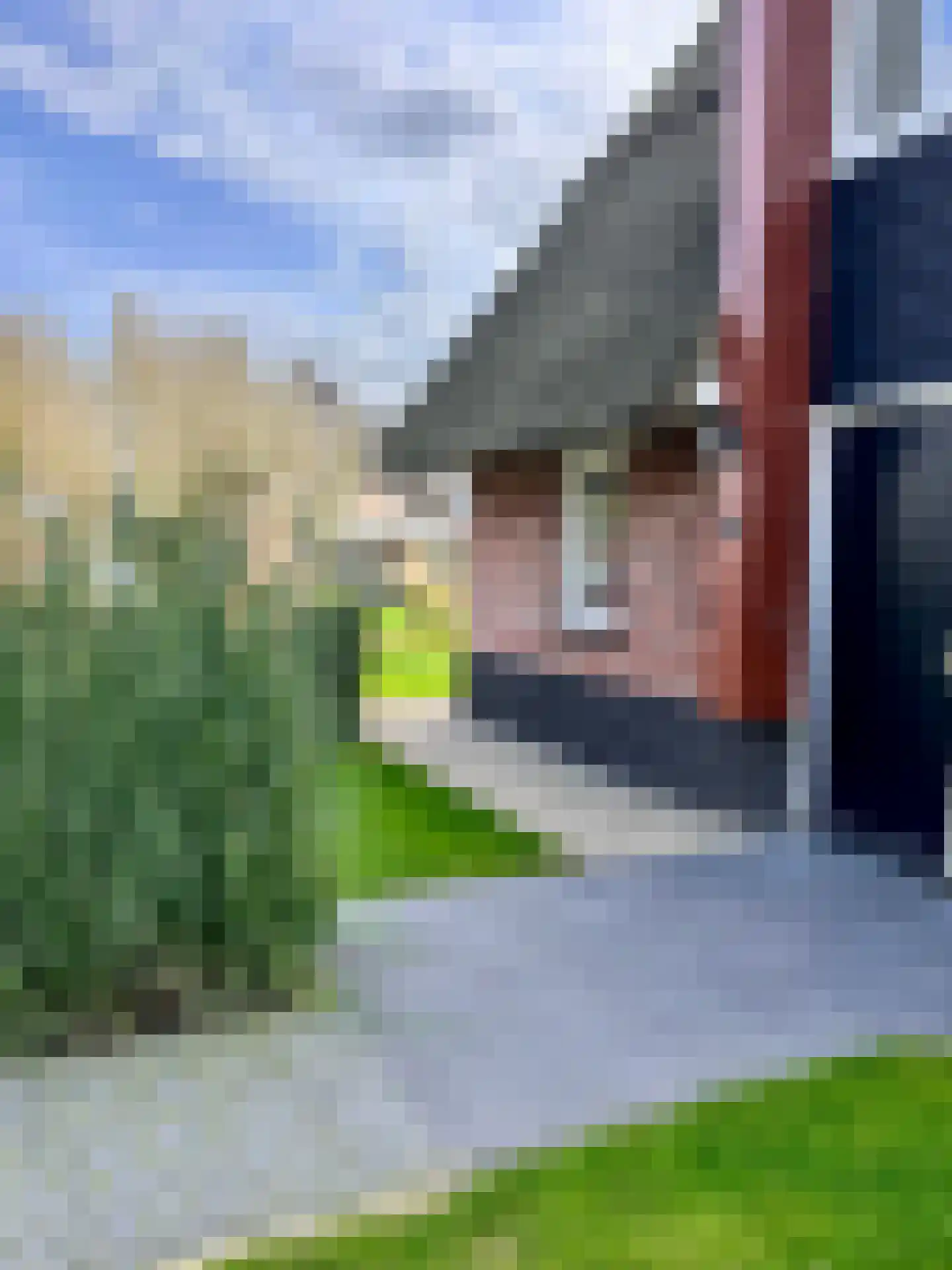 Djerreblom 16 Delfstrahuizen thumbnail 22