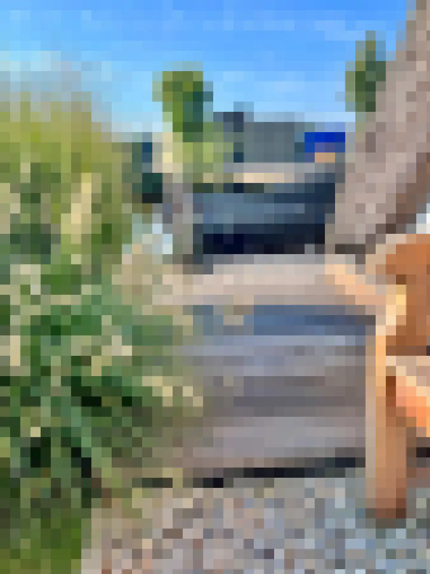 Djerreblom 16 Delfstrahuizen thumbnail 24