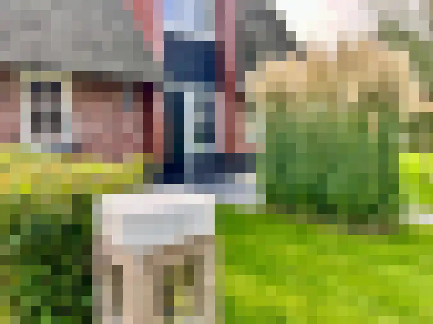 Djerreblom 16 Delfstrahuizen thumbnail 25