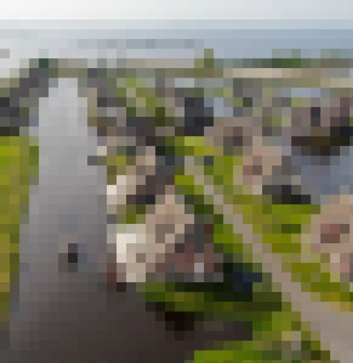 Djerreblom 16 Delfstrahuizen thumbnail 33