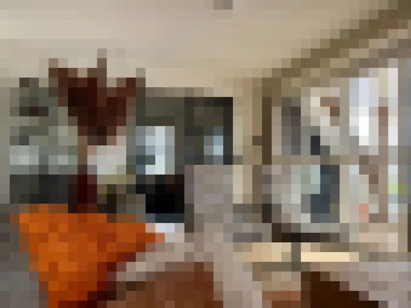 Djerreblom 16 Delfstrahuizen thumbnail 34